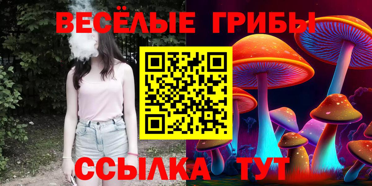 Псилоцибиновые грибы Cubensis Вязники